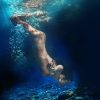 Art Gallery Xiart | Free Diving