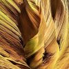 Art Gallery Xiart | Antilope Canyon Yellow