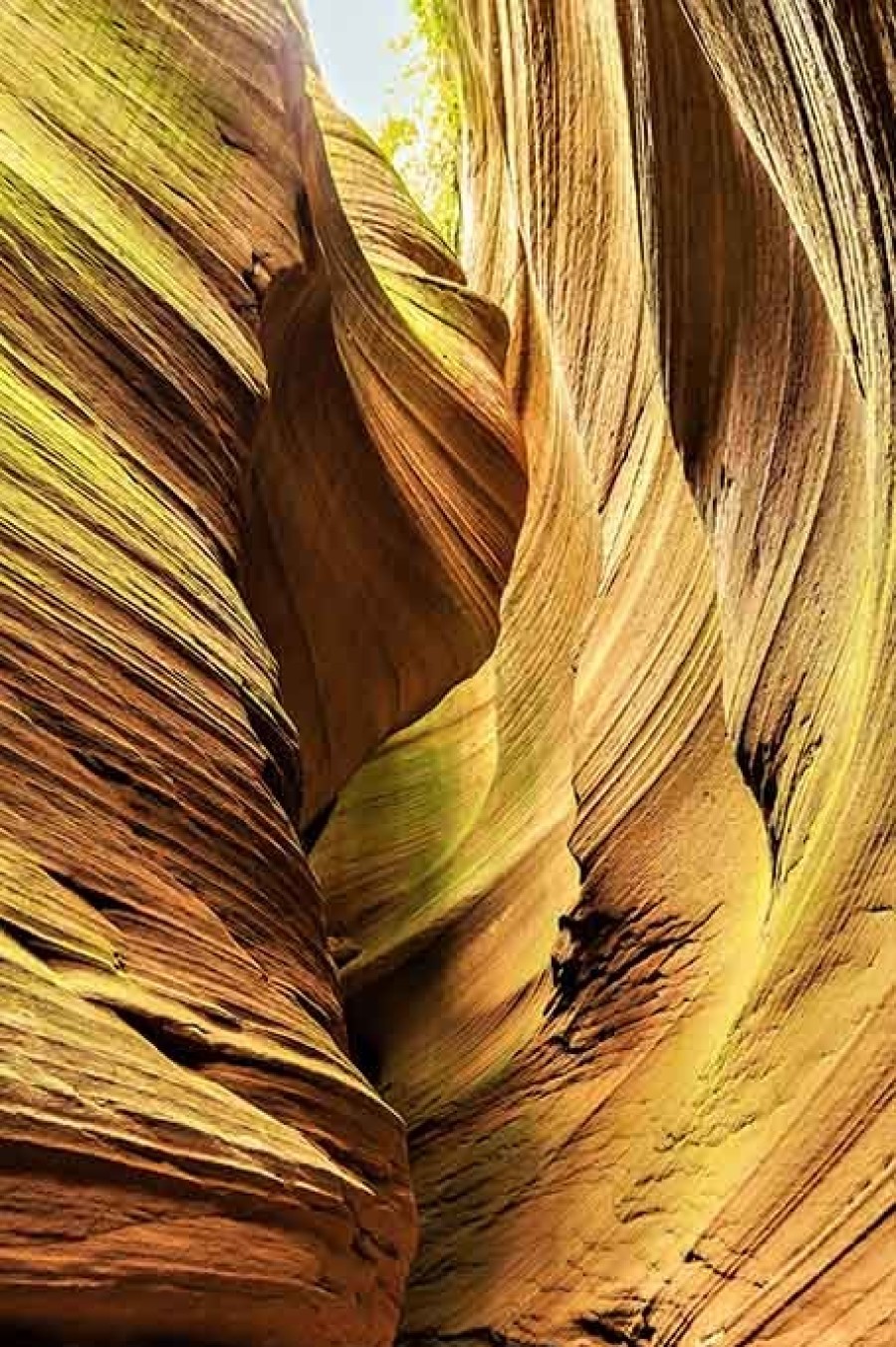 Art Gallery Xiart | Antilope Canyon Yellow