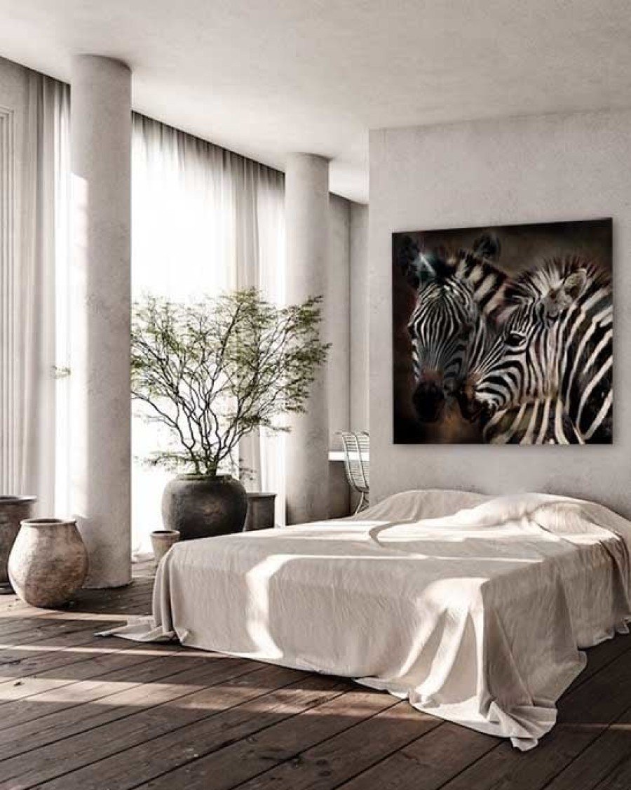 Art Gallery Xiart | Zebra Art