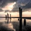 Art Gallery Xiart | Wooden Poles In Water