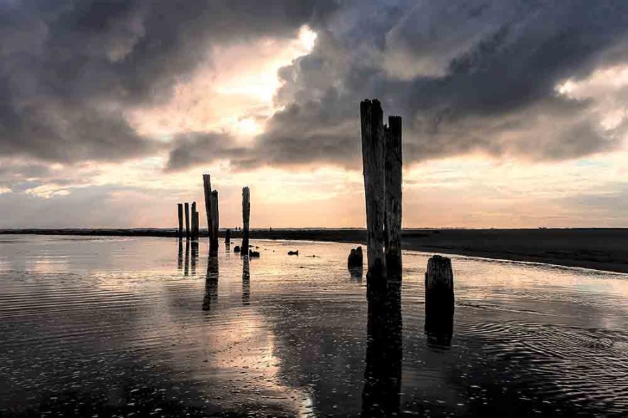 Art Gallery Xiart | Wooden Poles In Water