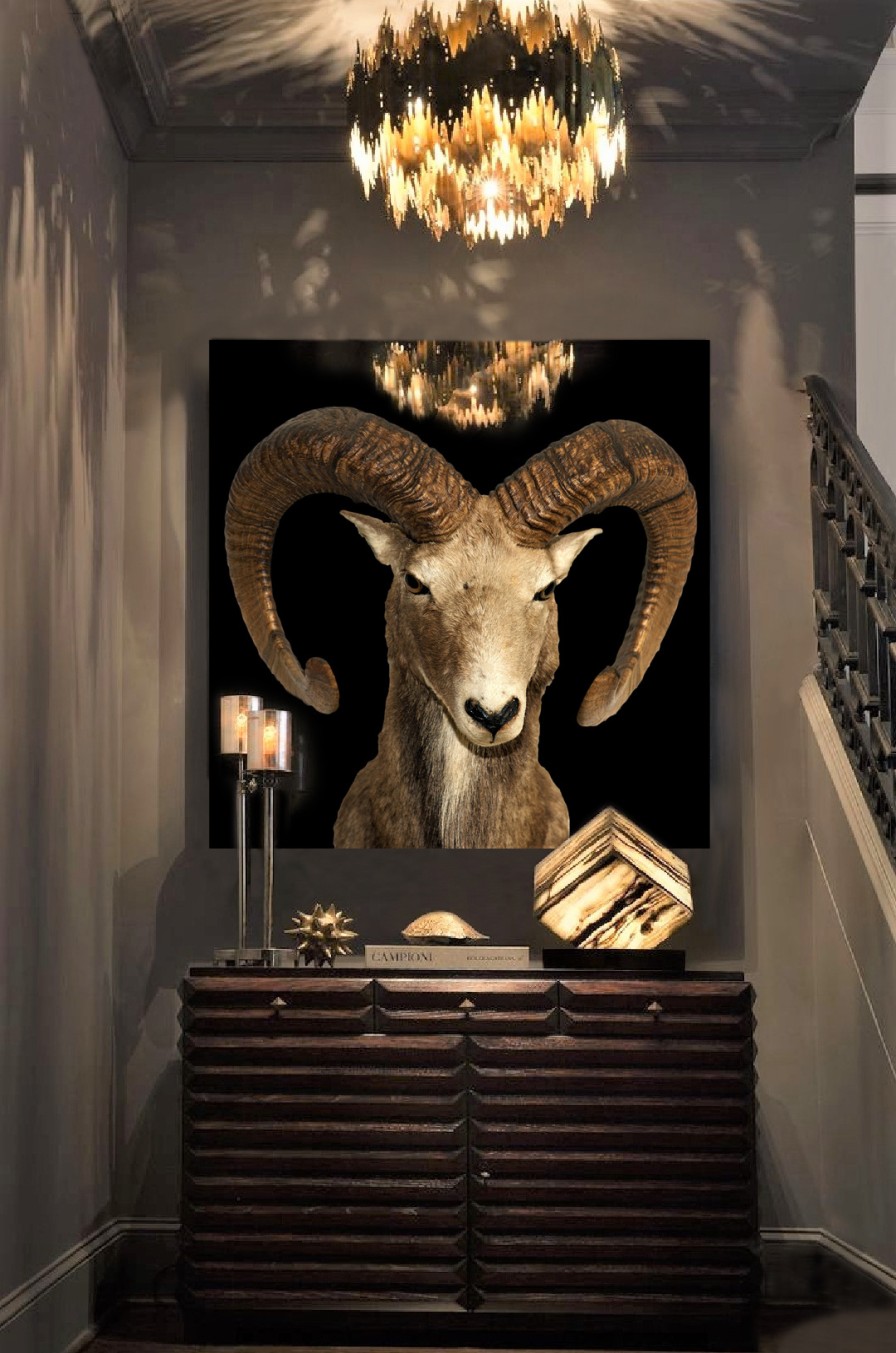 Art Gallery Xiart | Goat1