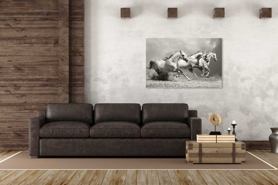 Art Gallery Xiart | Running Horses