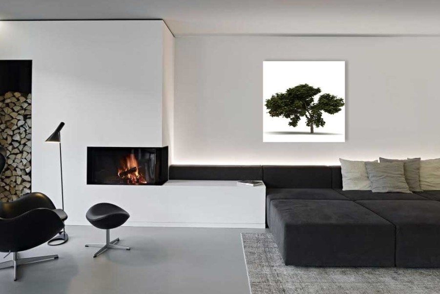 Art Gallery Xiart | Arbol