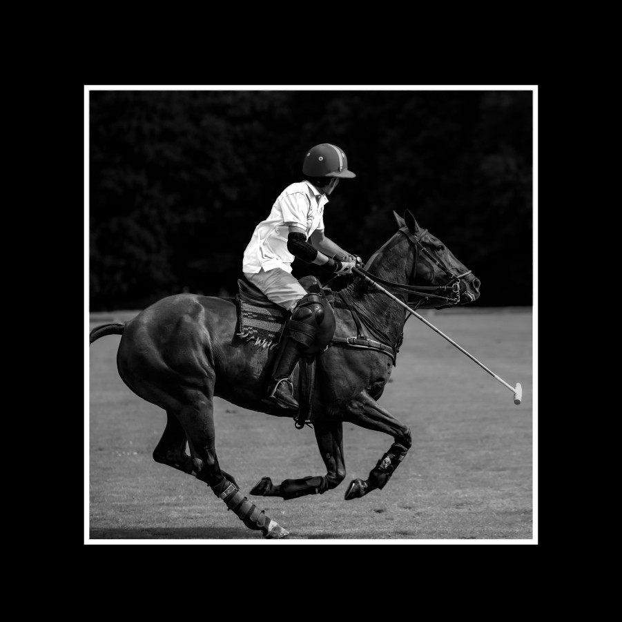 Art Gallery Xiart | Horse Polo