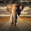 Art Gallery Xiart | Elephant On The Road