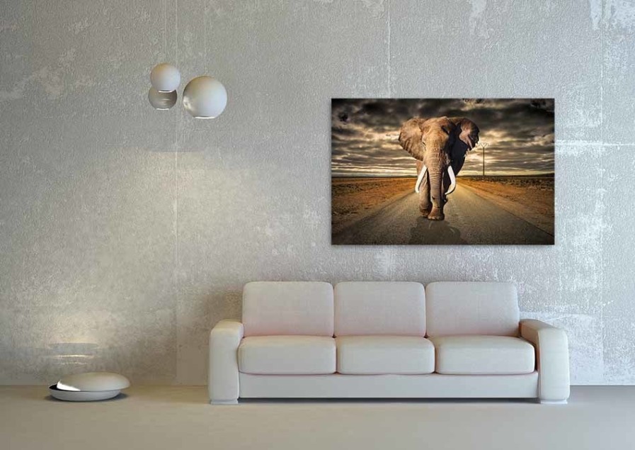 Art Gallery Xiart | Elephant On The Road