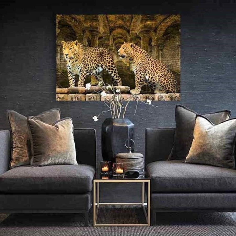 Art Gallery Xiart | Leopards