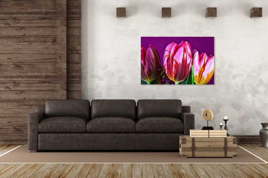 Art Gallery Xiart | Tulips