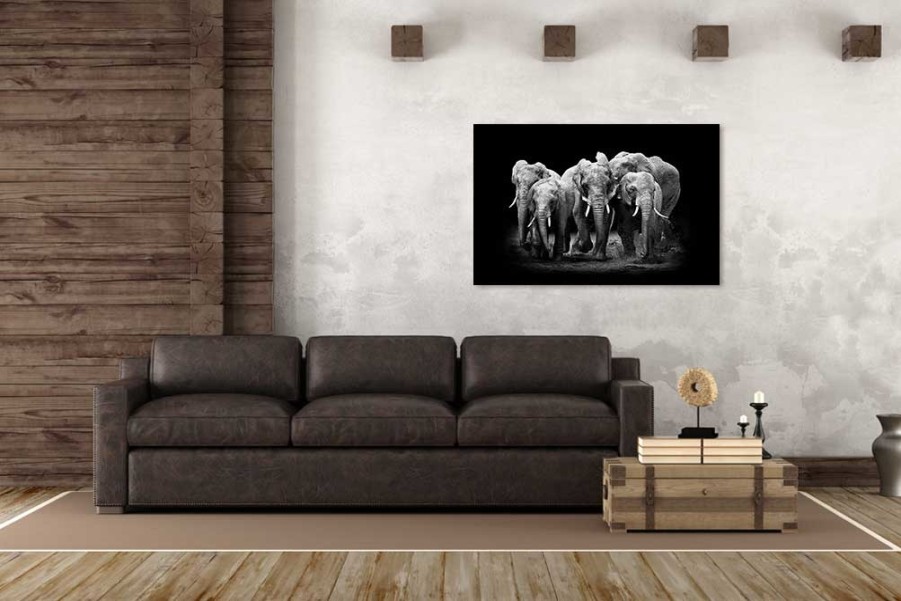 Art Gallery Xiart | The Elephants Group