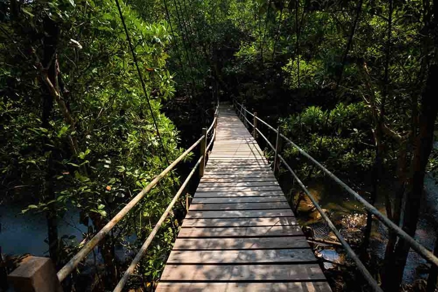 Art Gallery Xiart | Nature Bridge