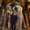 Art Gallery Xiart | Elephant Temple