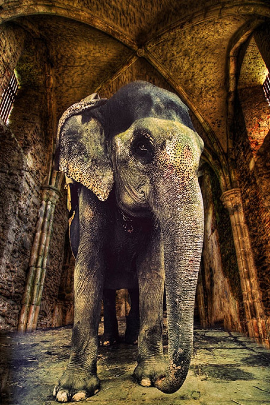 Art Gallery Xiart | Elephant Temple