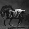 Art Gallery Xiart | Horse Posing