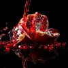 Art Gallery Xiart | Splashing Pomegranate