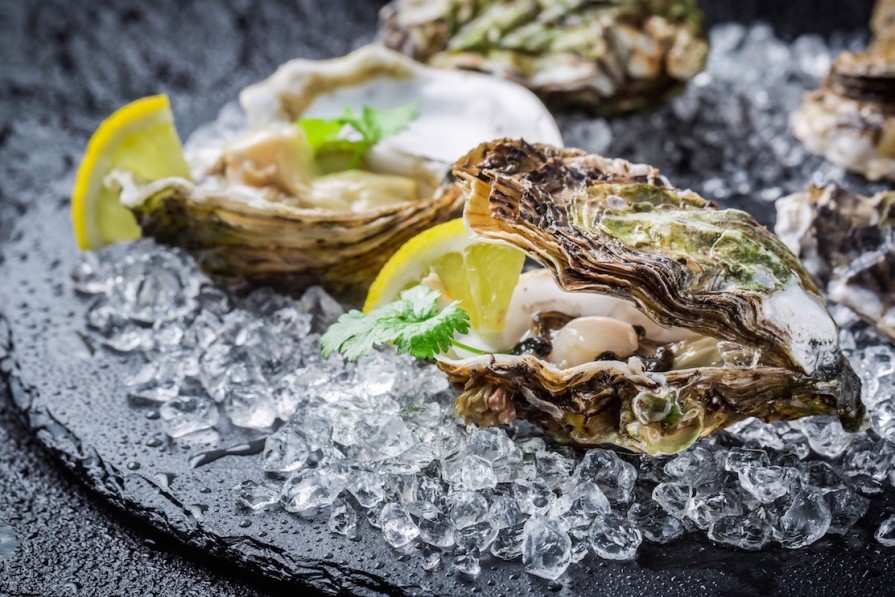 Art Gallery Xiart | Oyster Club