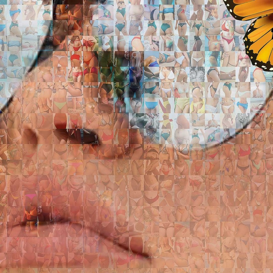 Art Gallery Xiart | Butterfly Mosaic