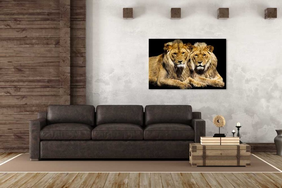 Art Gallery Xiart | Lions