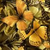 Art Gallery Xiart | Butterflies