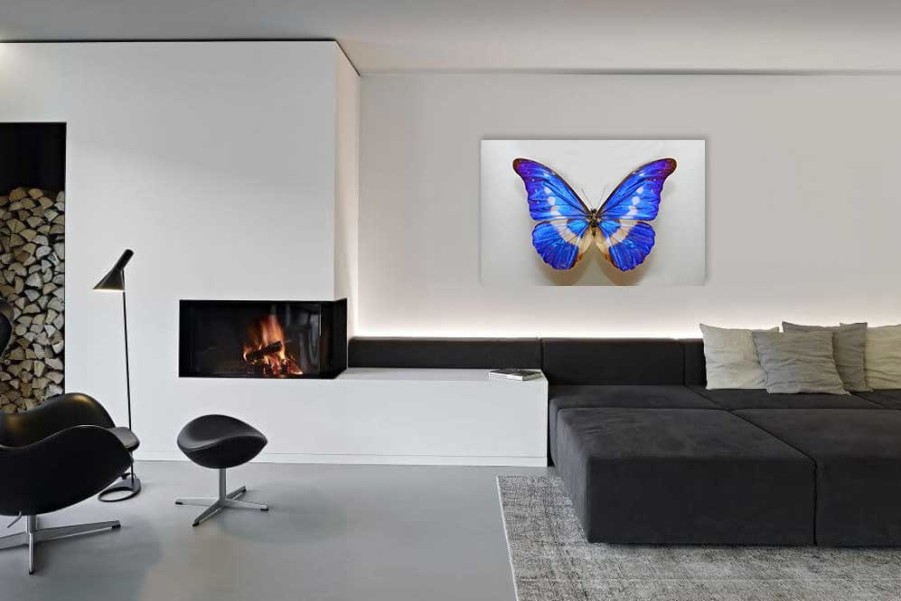 Art Gallery Xiart | Butterfly Blue