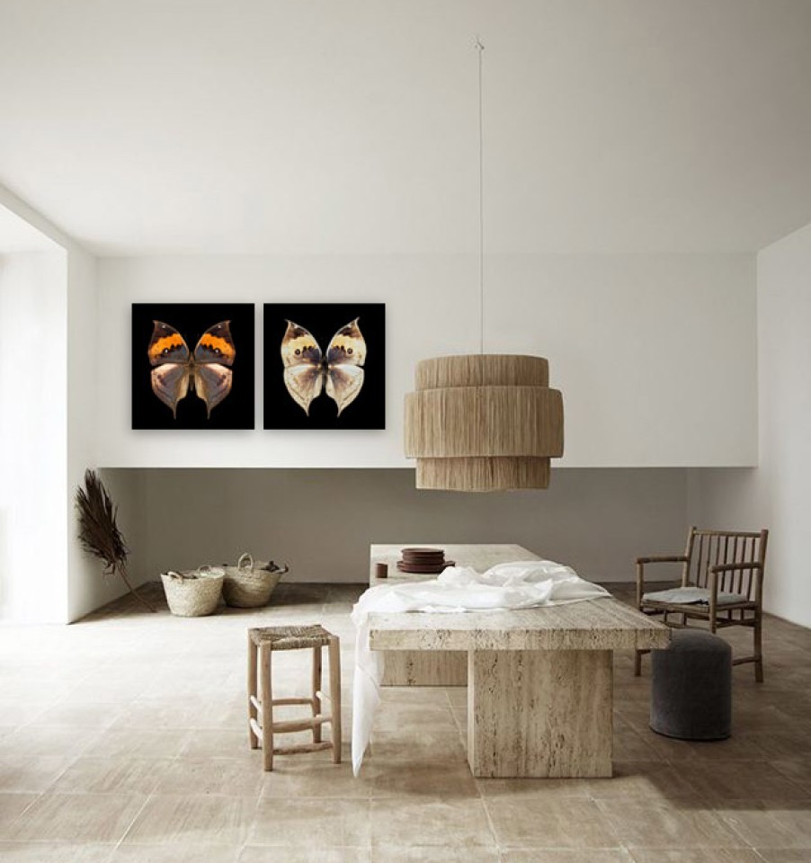 Art Gallery Xiart | Mariposas