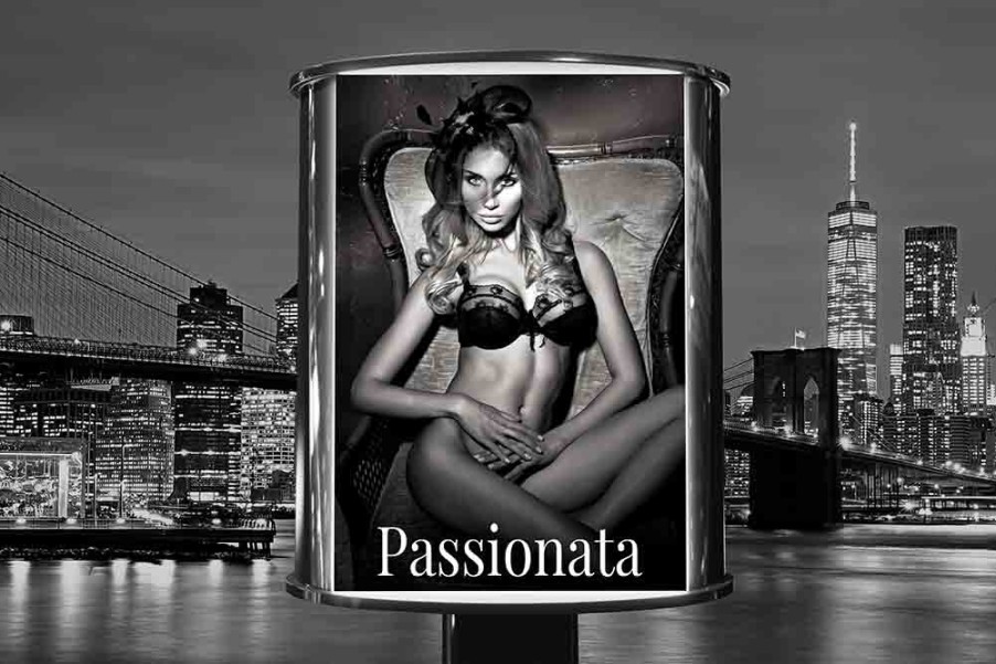 Art Gallery Xiart | Passionata