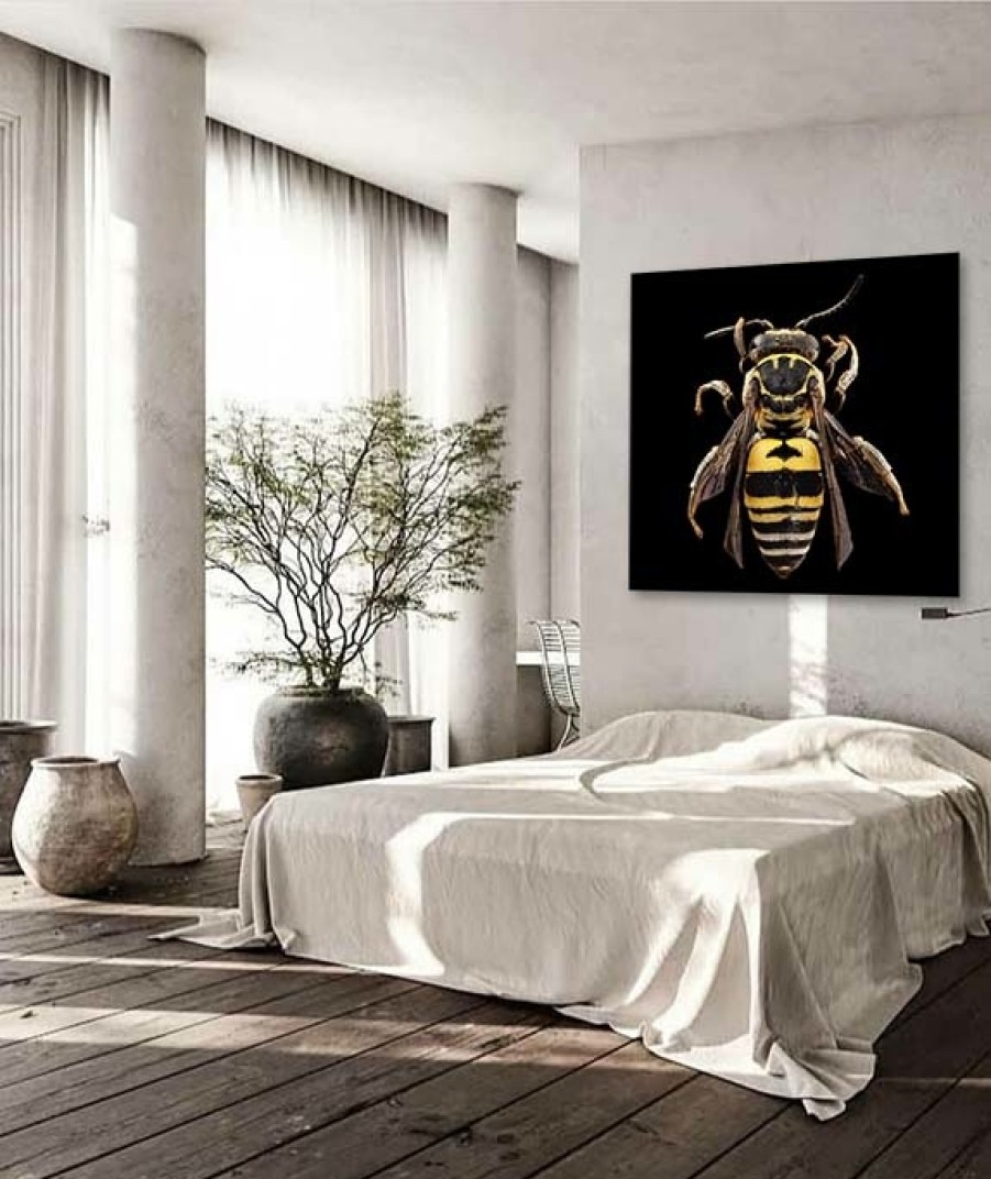 Art Gallery Xiart | Black And Yellow Bee