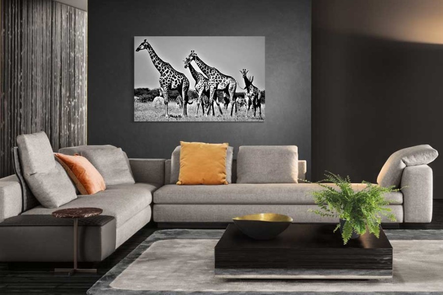 Art Gallery Xiart | Giraffes Botswana