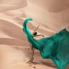 Art Gallery Xiart | Desert Ballerina