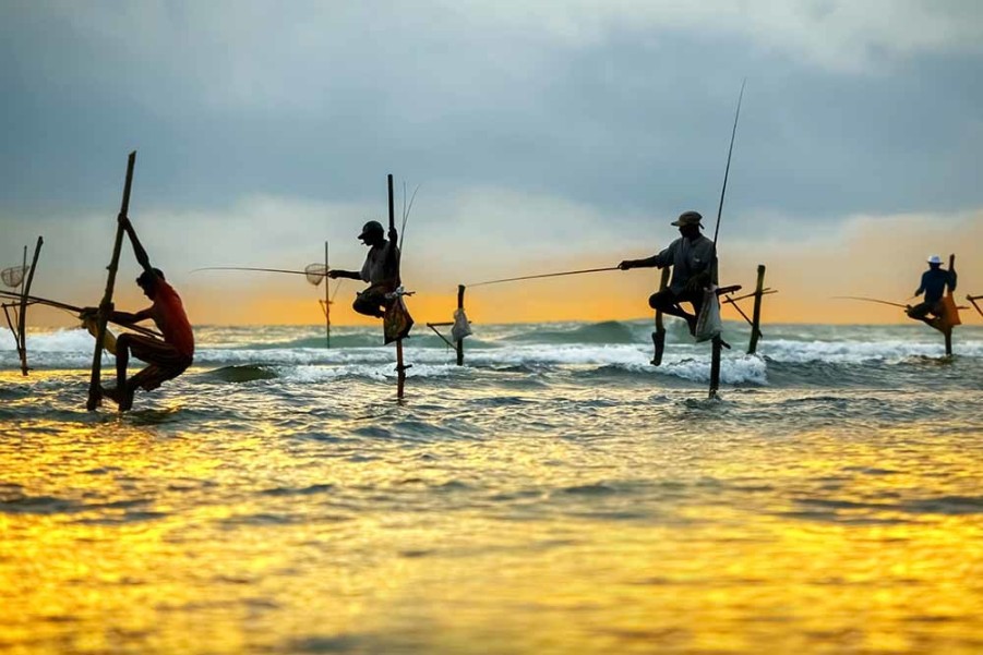 Art Gallery Xiart | Fishermen Sri Lanka