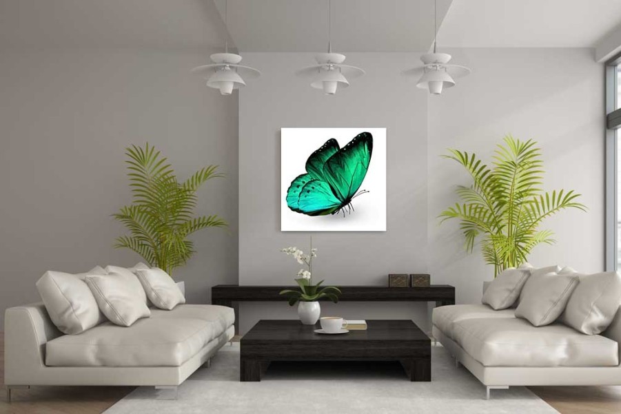 Art Gallery Xiart | Green Mariposa