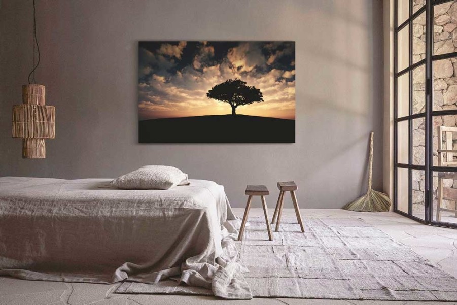 Art Gallery Xiart | Tree Sunset