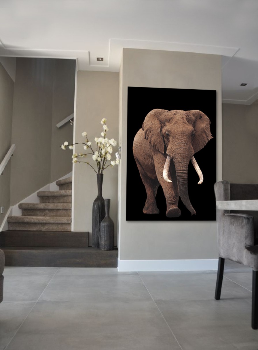 Art Gallery Xiart | Elephant