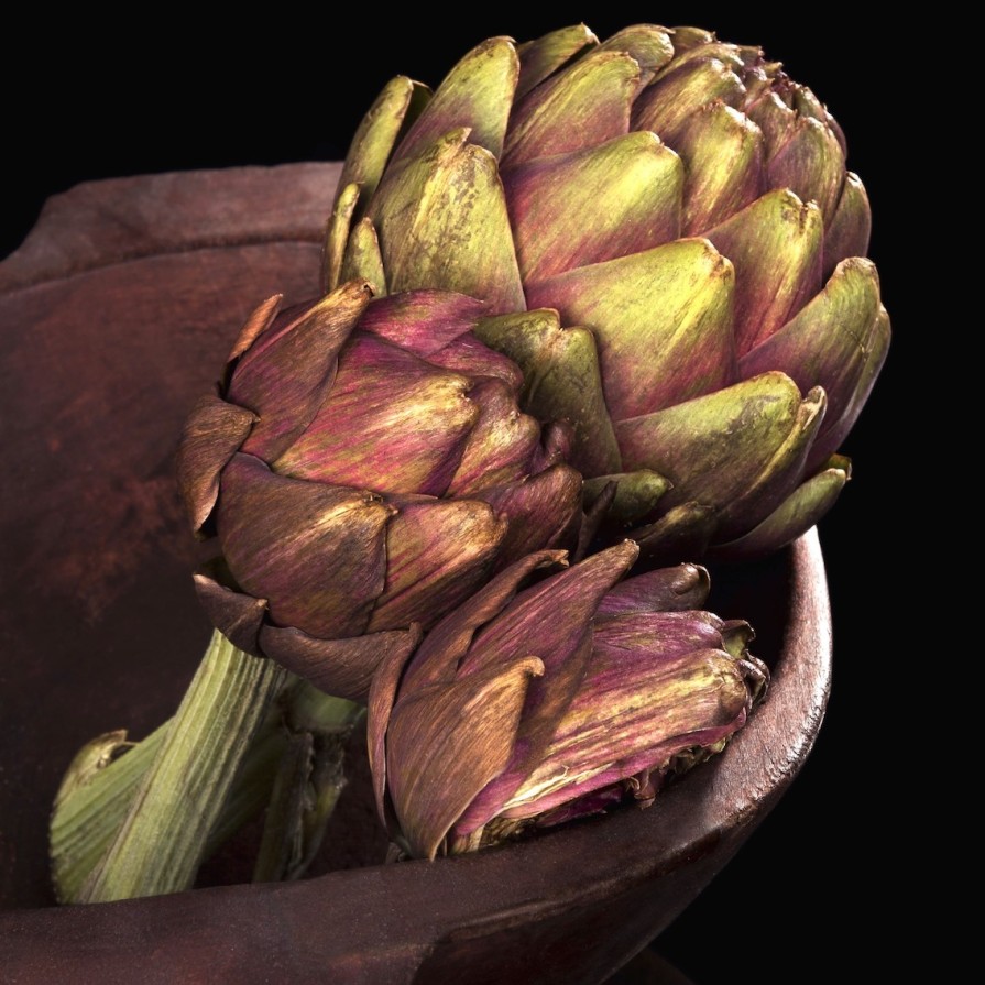 Art Gallery Xiart | Artichokes Still Life