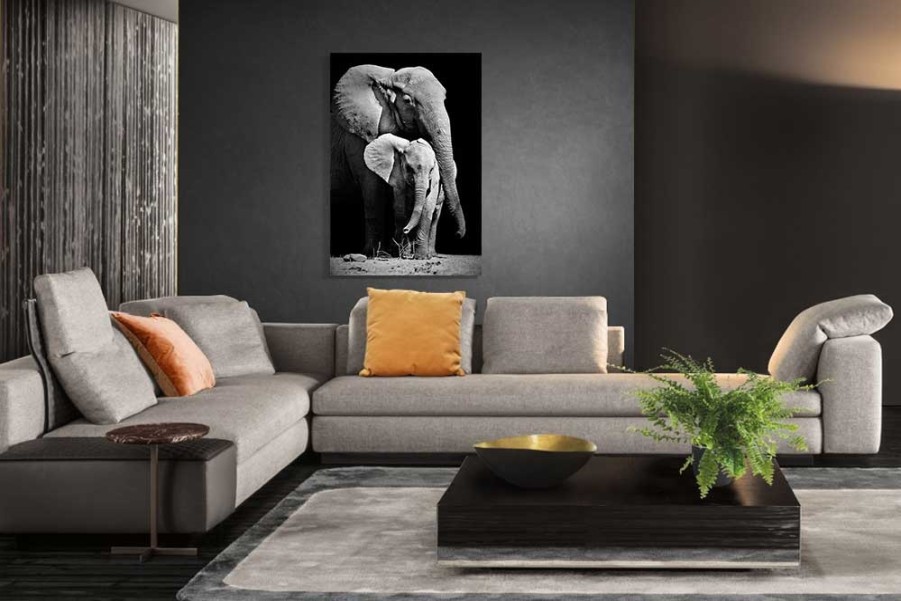 Art Gallery Xiart | Elephants