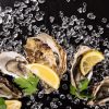 Art Gallery Xiart | Oyster Bar