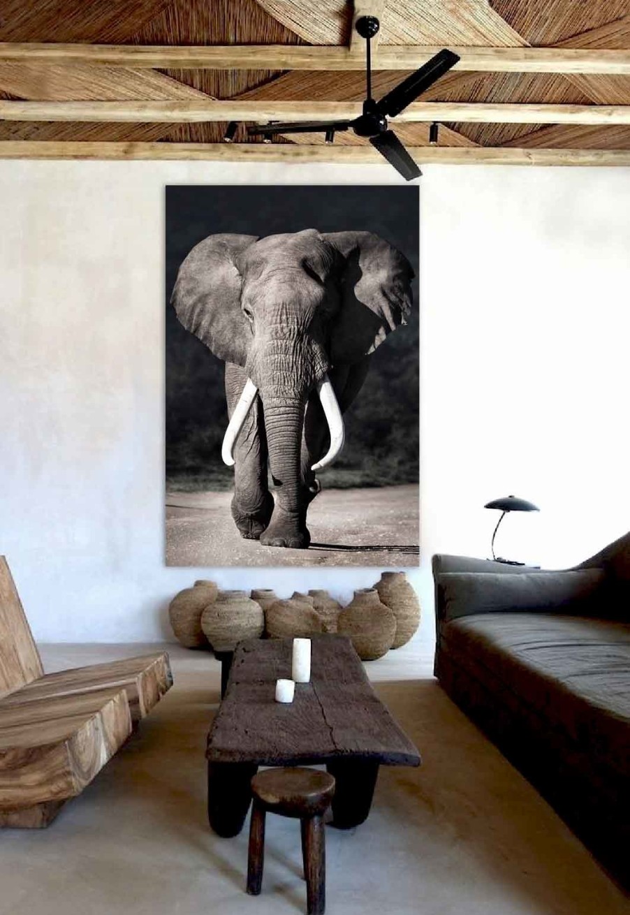 Art Gallery Xiart | Elephant Approaching