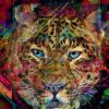 Art Gallery Xiart | Colourful Leopard