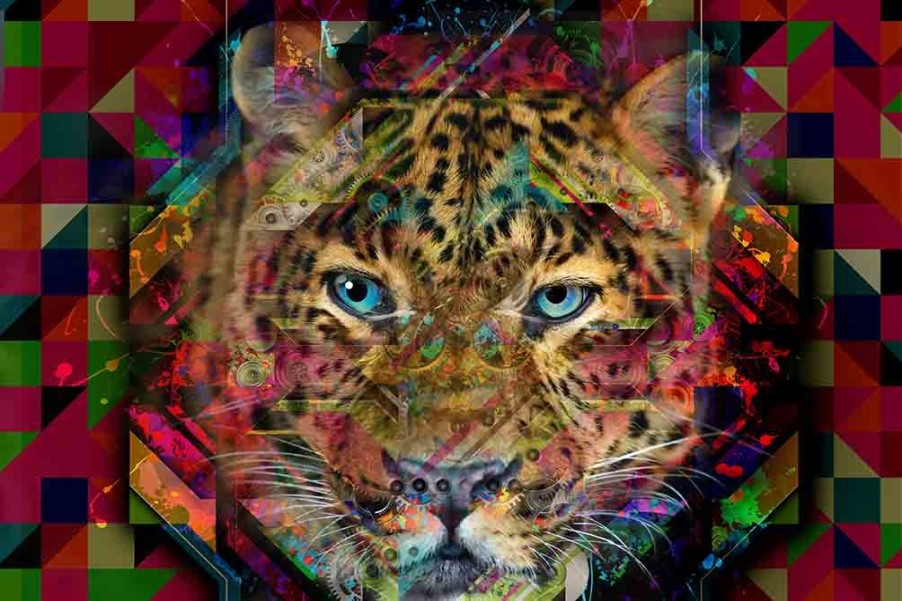 Art Gallery Xiart | Colourful Leopard