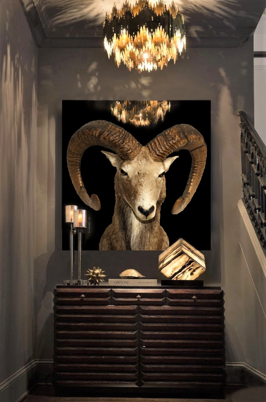 Art Gallery Xiart | Goat