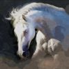 Art Gallery Xiart | Beautiful White Horse