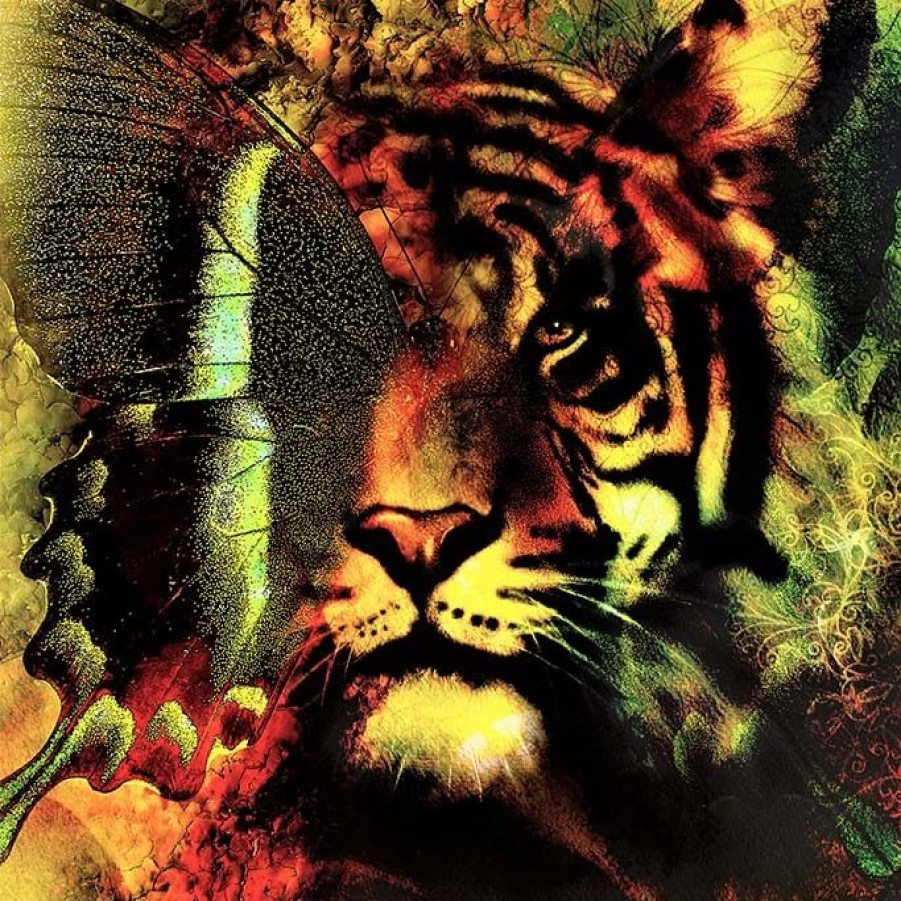 Art Gallery Xiart | Color Tiger