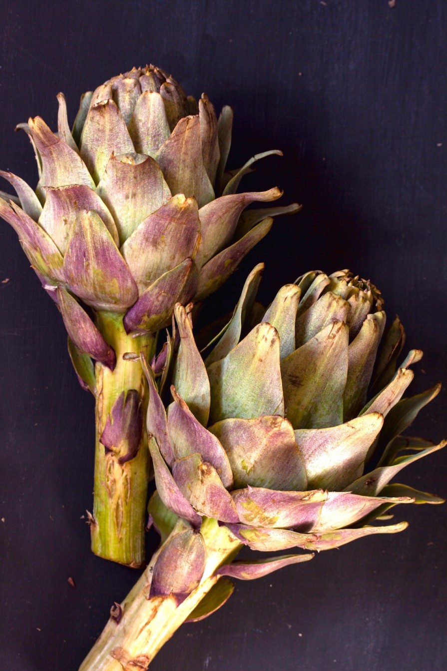 Art Gallery Xiart | Pure Artichokes