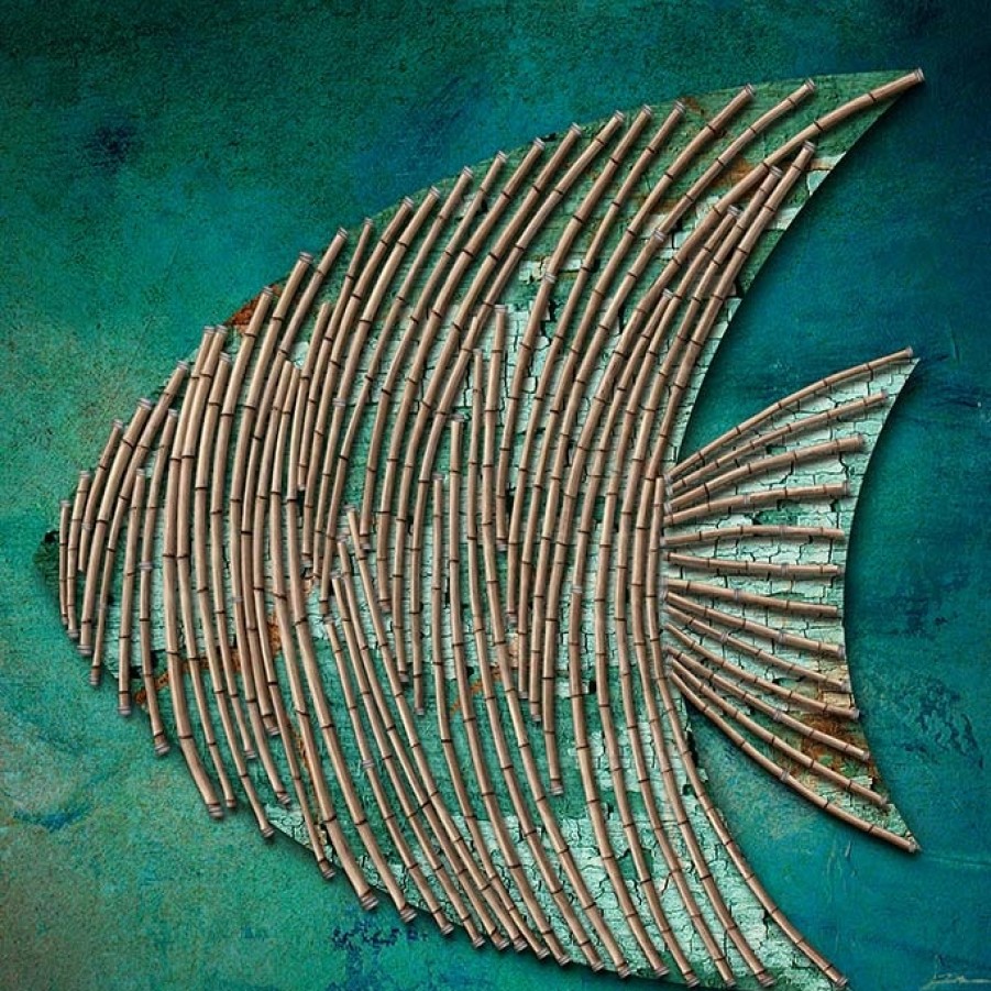 Art Gallery Xiart | Bohemian Fish 2